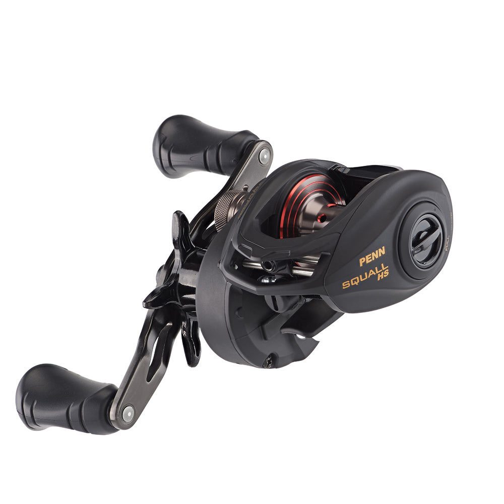 PENN Squall Low Profile Reel - SQL200LPHS [1525502]