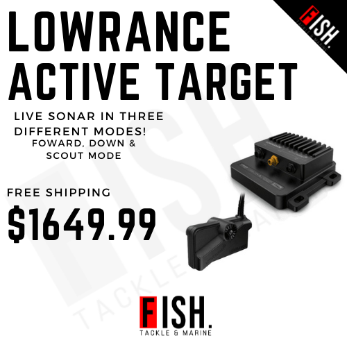 ActiveTarget® 2 Live Sonar with Transducer