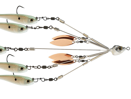 Picasso Bait Ball School-E-Rig