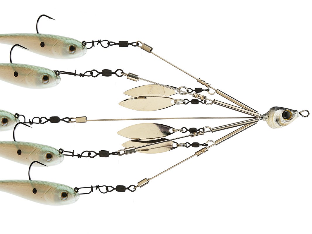 Picasso Bait Ball School-E-Rig