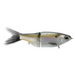 Threadfin Shad